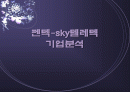sky텔레텍-펜텍 기업 조사분석-합병전후- 1페이지