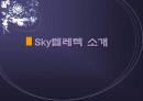 sky텔레텍-펜텍 기업 조사분석-합병전후- 5페이지