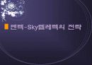 sky텔레텍-펜텍 기업 조사분석-합병전후- 10페이지