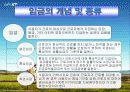 KT의 임금체계 3페이지