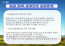 KT의 임금체계 5페이지