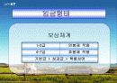KT의 임금체계 10페이지