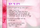 00년 동아리 활동에 대한 00대학교 학생들의 의식조사 27페이지