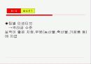 빅마트에 대한 조사 14페이지