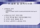 인구고령화와 노동생산성의 변화 41페이지