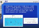 계면활성제 업계현황 5페이지