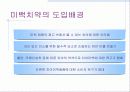 미백치약(상추치약) 6페이지