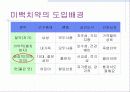 미백치약(상추치약) 7페이지