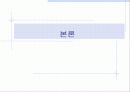 미백치약(상추치약) 9페이지