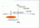 미백치약(상추치약) 15페이지