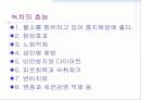 미백치약(상추치약) 24페이지