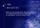 국내 환경산업의 현황 및 발전방향 4페이지