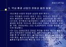 국내 환경산업의 현황 및 발전방향 13페이지