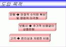 금융계의 떠오르는 화두 - 방카슈랑스 7페이지