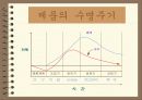 제품설계에 대하여 6페이지