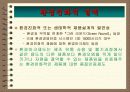 제품설계에 대하여 32페이지
