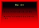 MERCOSUR, 남미공동시장에 대하여 3페이지