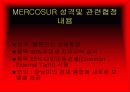 MERCOSUR, 남미공동시장에 대하여 4페이지