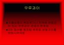 MERCOSUR, 남미공동시장에 대하여 8페이지