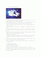 DMB의 비효율적 전개와 우리나라 IT산업이 나아가야할 방향 8페이지