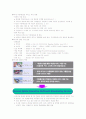 DMB의 비효율적 전개와 우리나라 IT산업이 나아가야할 방향 10페이지