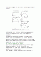 [공학/컴퓨터/통신] 사면안정 14페이지