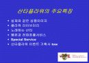 기업 비교분석 (1-800-flowers와 산타플라워) 12페이지