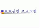 보호관찰 등에 관한 문제점 12페이지