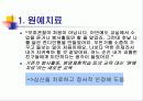 보호관찰 등에 관한 문제점 13페이지