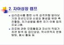 보호관찰 등에 관한 문제점 14페이지