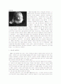 빅토르 위고 [Hugo, Victor-Marie,1802.2.26~1885.5.22]와 그의 작품분석 2페이지