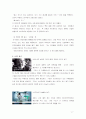 좋은광고&나쁜광고 사례 2페이지