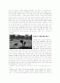 [다큐멘터리 제작과정] 야생의 초원 세렝게티 ; 제작과정 200일의 기록 3페이지