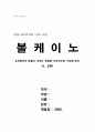 볼케이노 1페이지