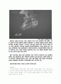 한반도 철새지도 - 환경스페셜 2페이지