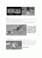 한반도 철새지도 - 환경스페셜 3페이지