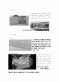 한반도 철새지도 - 환경스페셜 4페이지