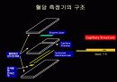 바이오센서에 관한 3차 발표자료(그중 혈당 측정기에대해서) 13페이지