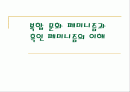 복합문화페미니즘과 흑인페미니즘의 이해 1페이지