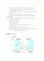 ERP(Enterprise Resource Planning) 시스템 13페이지