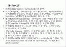 단백질(Protein) 2페이지