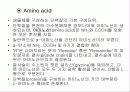 단백질(Protein) 4페이지