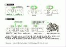 단백질(Protein) 5페이지