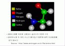 단백질(Protein) 8페이지