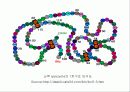 단백질(Protein) 11페이지