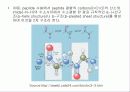 단백질(Protein) 13페이지