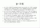 단백질(Protein) 16페이지