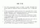 단백질(Protein) 20페이지