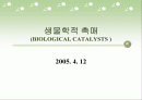 생물학적 촉매(BIOLOGICAL CATALYSTS ) 1페이지