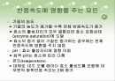 생물학적 촉매(BIOLOGICAL CATALYSTS ) 9페이지